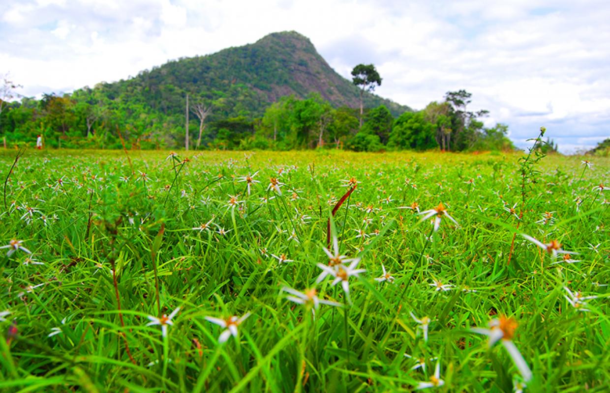 Parque Nacional e Histórico de Monte Pascoal