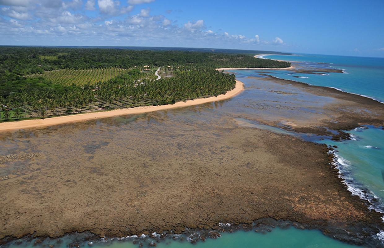 Praia - Coqueiros